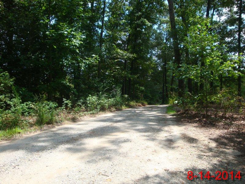 445 Hill Rd, Clarkesville, GA 30523 photo 2