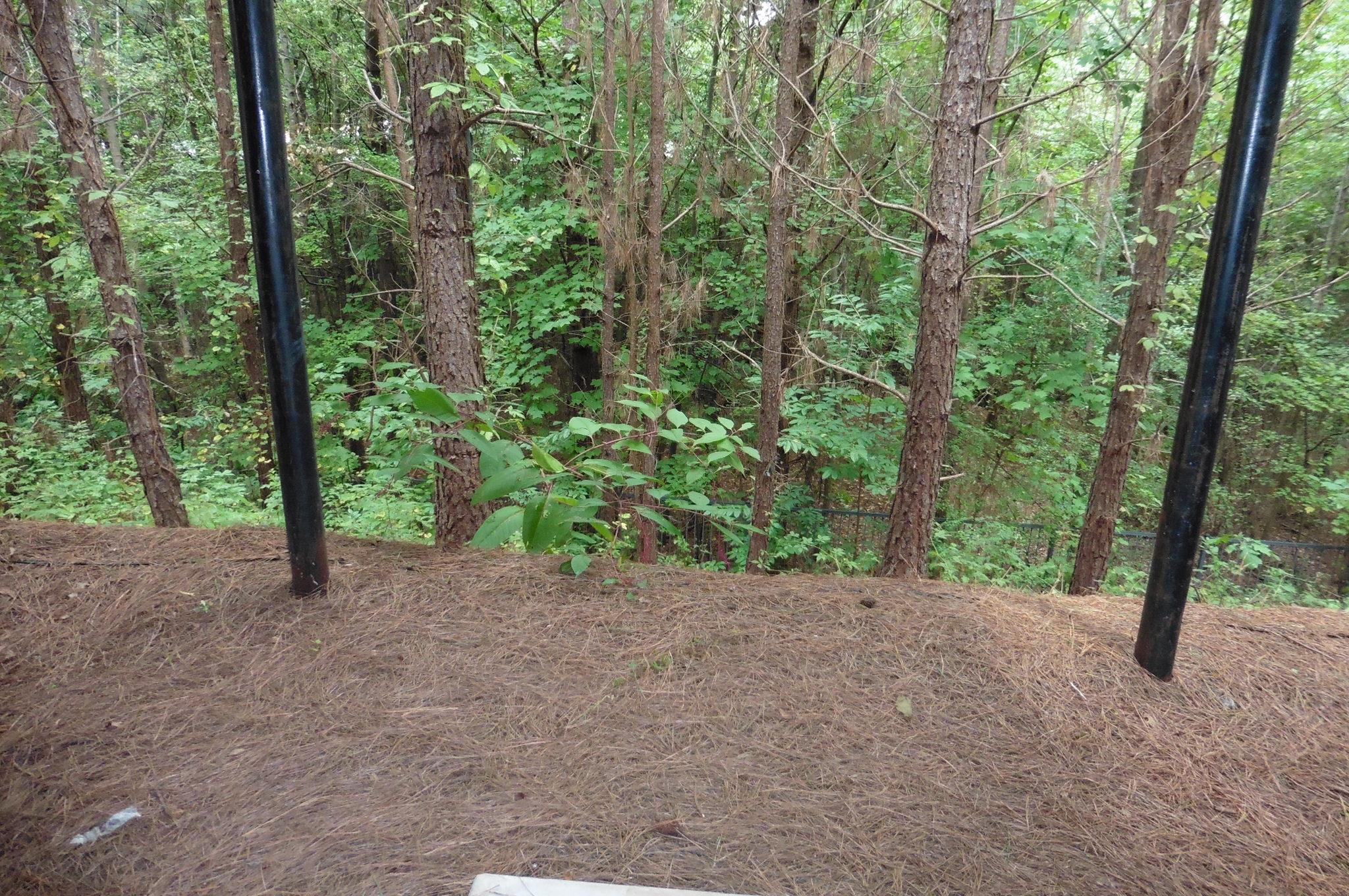3979 Howell Park Rd, Duluth, GA 30096 photo 5
