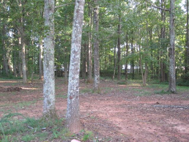675 Mills Dr, Covington, GA 30016 photo 24