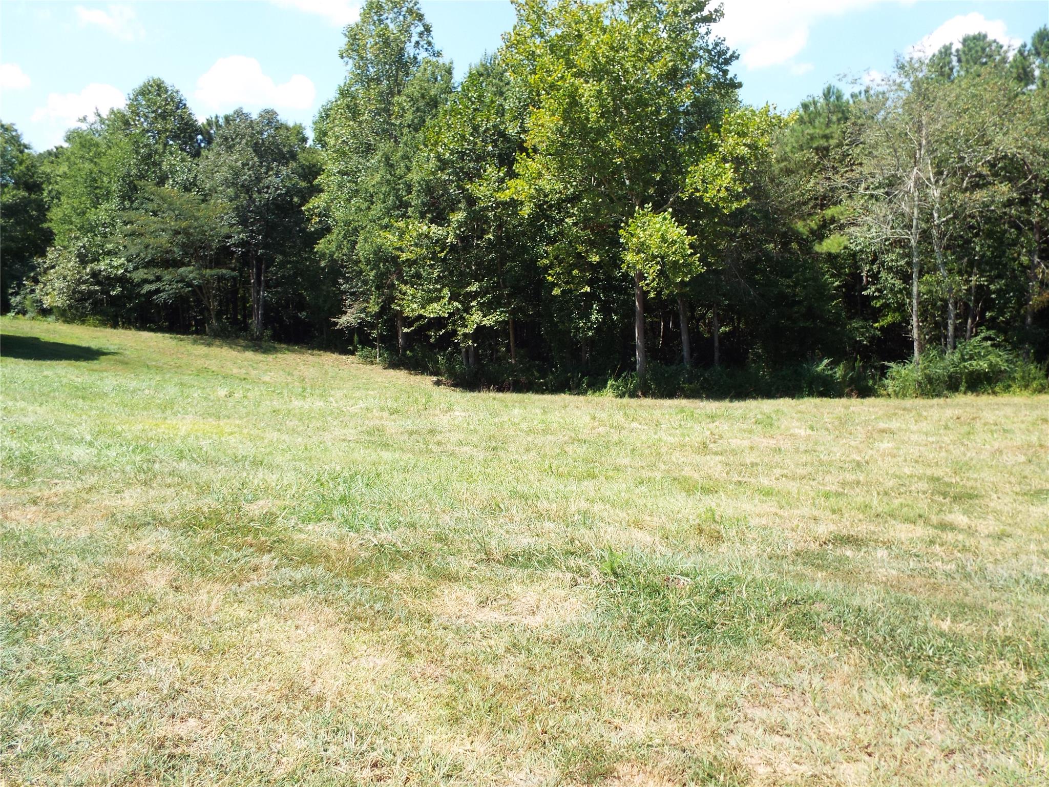 1244 Thomas St, Roopville, GA 30170 photo 5