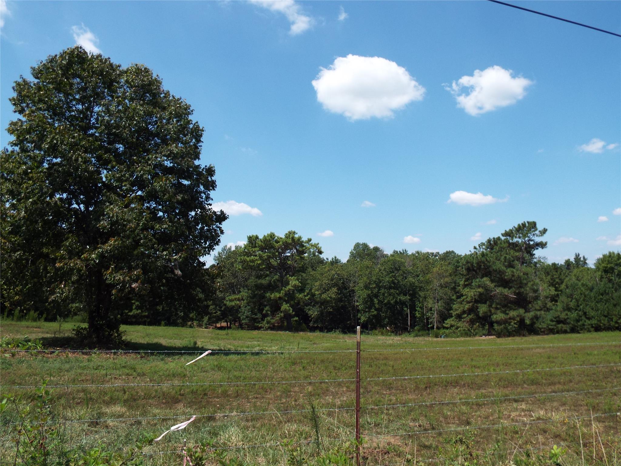 1244 Thomas St, Roopville, GA 30170 photo 22