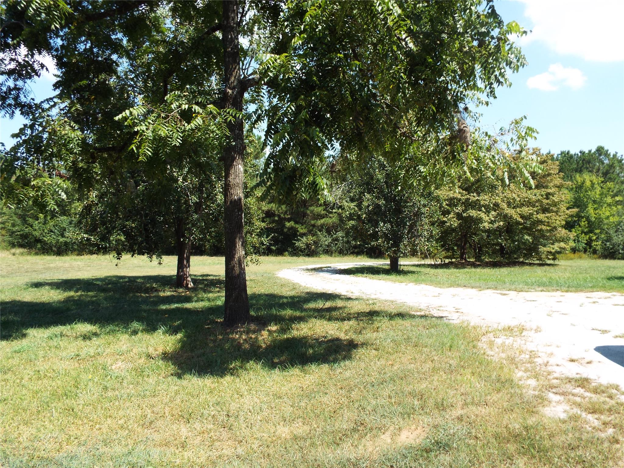1244 Thomas St, Roopville, GA 30170 photo 4