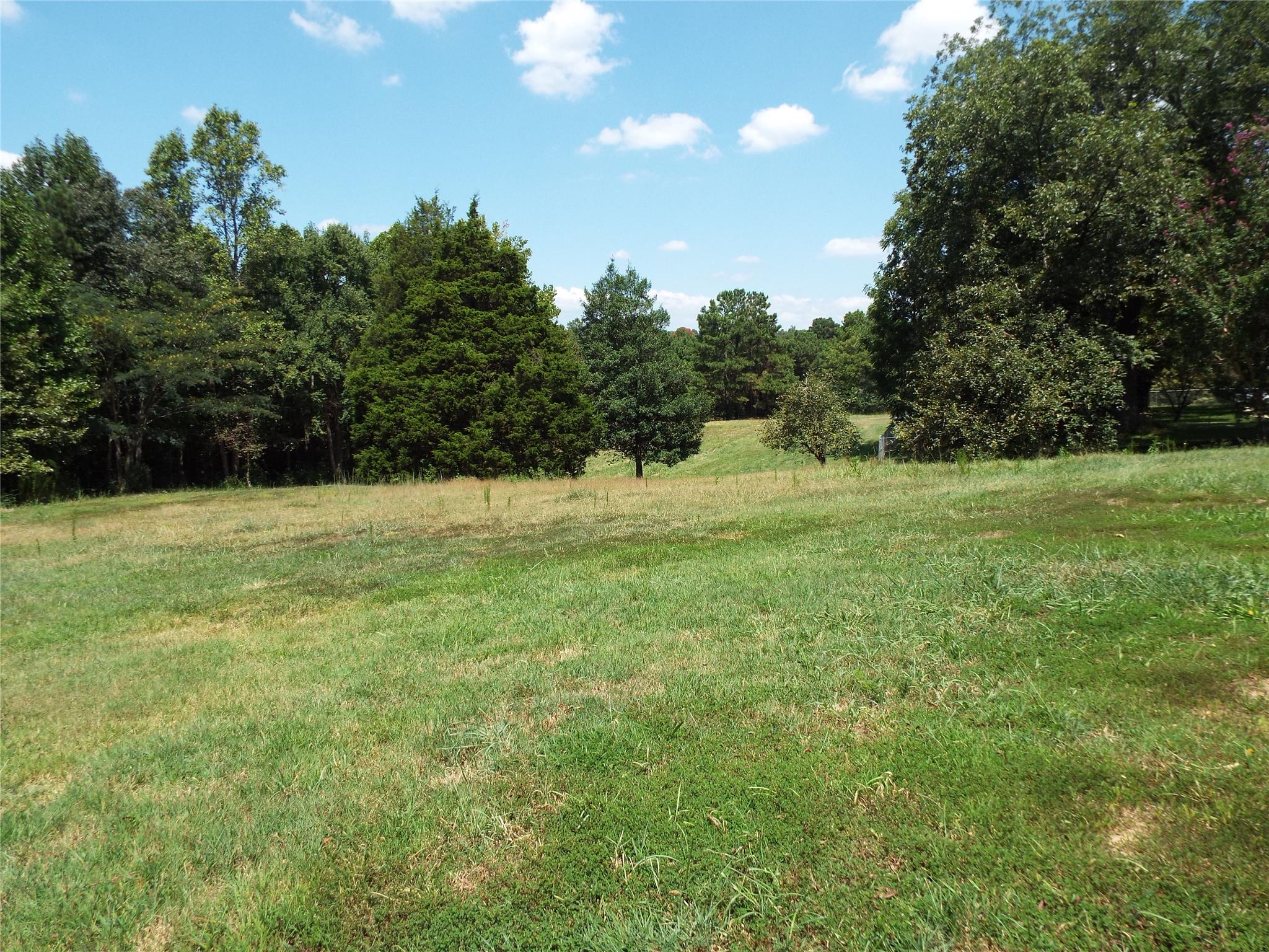 1244 Thomas St, Roopville, GA 30170 photo 19