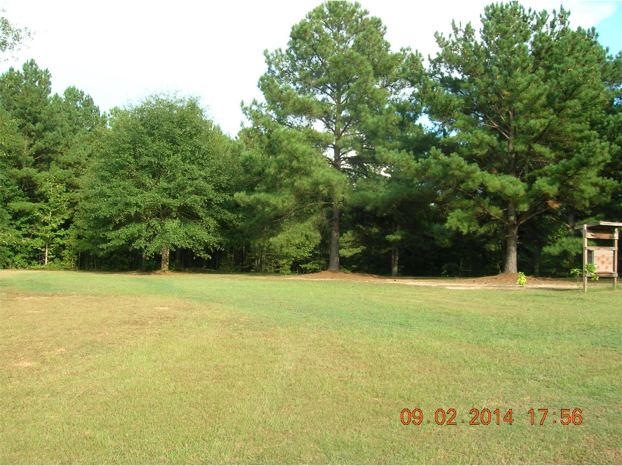 289 Mathews Rd, Milner, GA 30257 photo 5