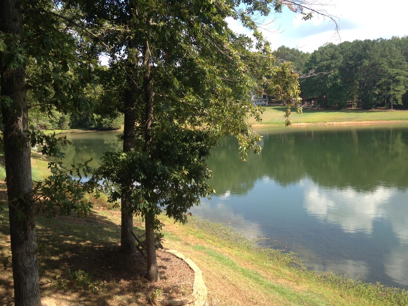 13700 Hughes Xing, Hampton, GA 30228 photo 7