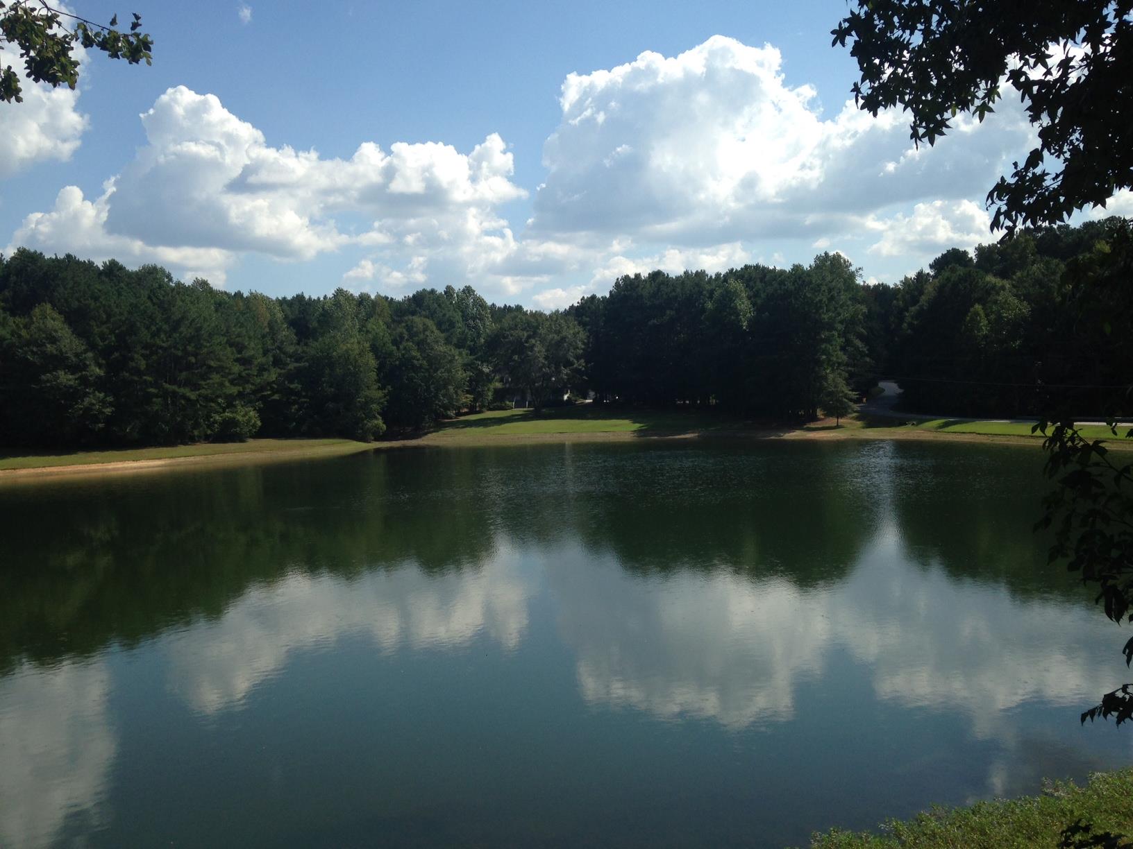 13700 Hughes Xing, Hampton, GA 30228 photo 8