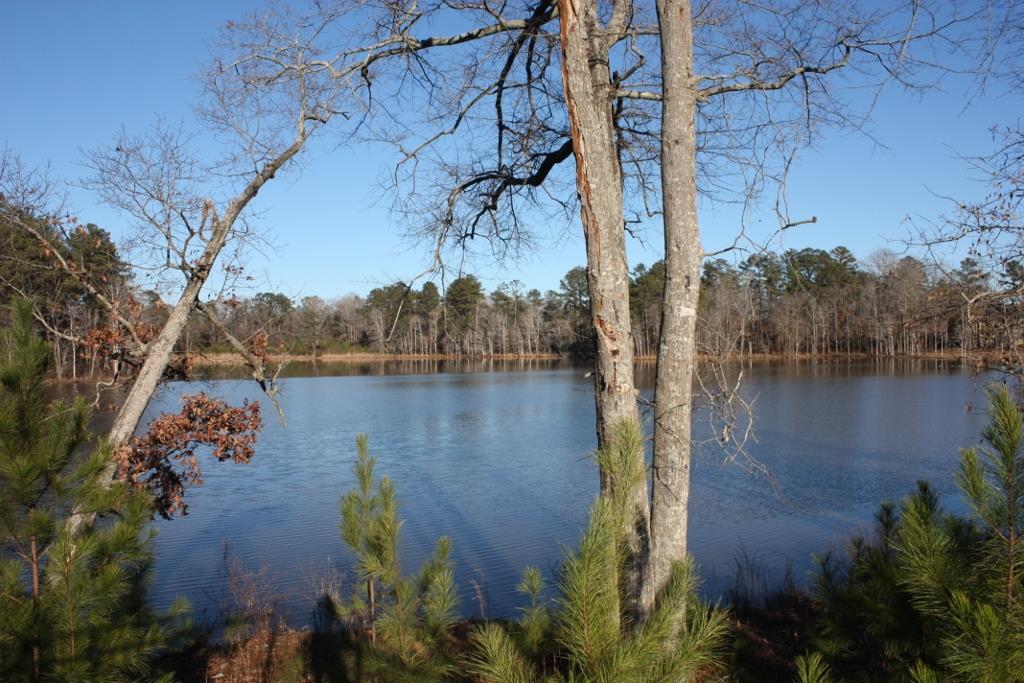 524 Bryant Lake Blvd, Lagrange, GA 30241 photo 23