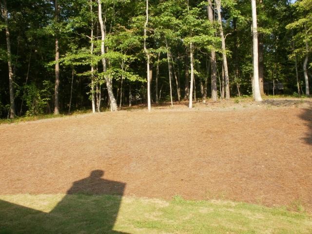 403 Oakwind Dr, Canton, GA 30114 photo 19