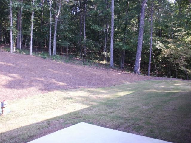 403 Oakwind Dr, Canton, GA 30114 photo 18
