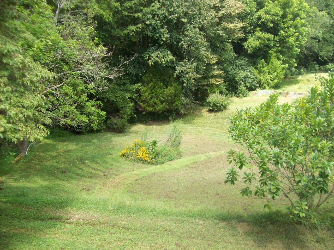 1716 Mize Rd, Toccoa, GA 30577 photo 15