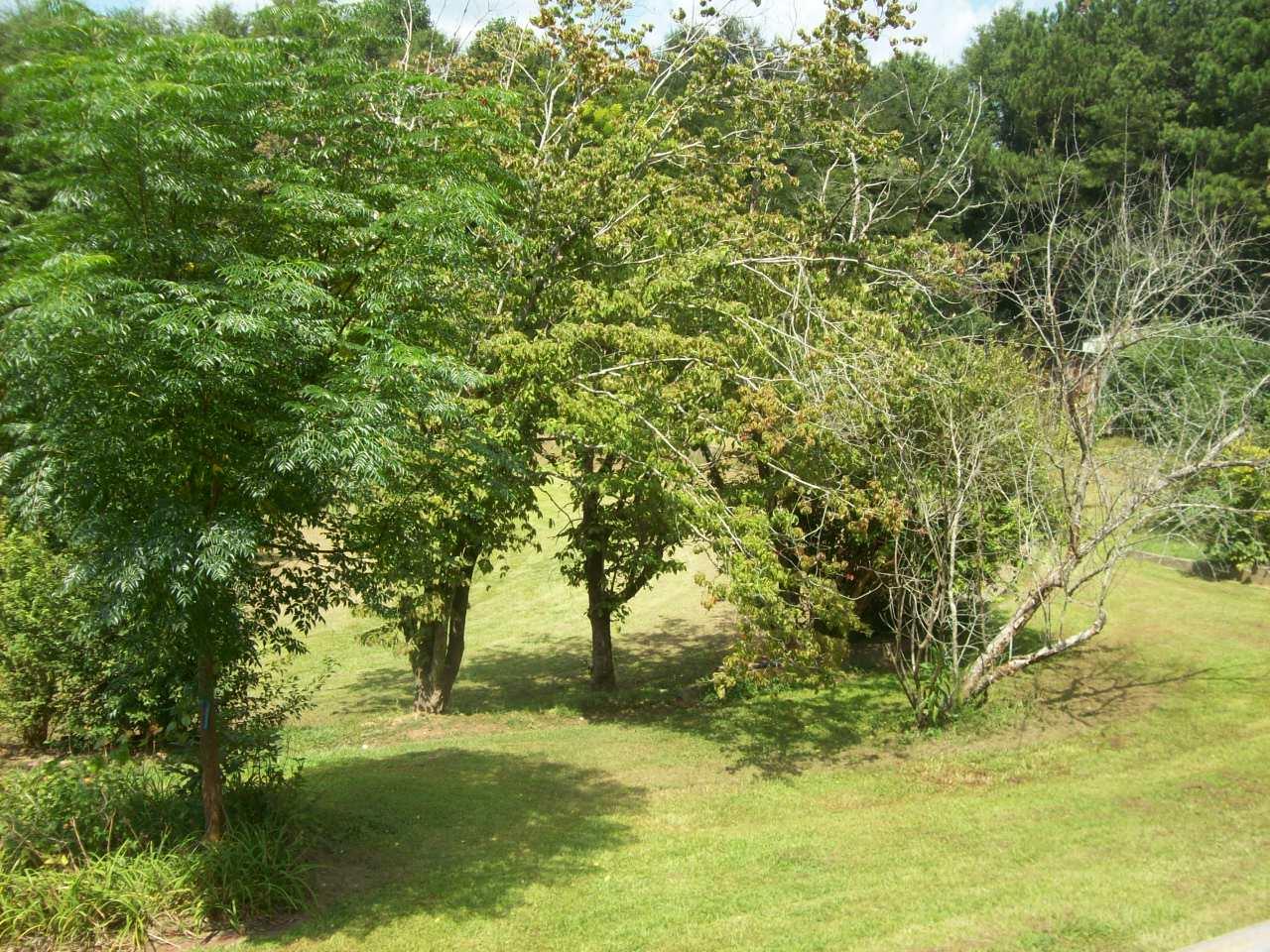 1716 Mize Rd, Toccoa, GA 30577 photo 12