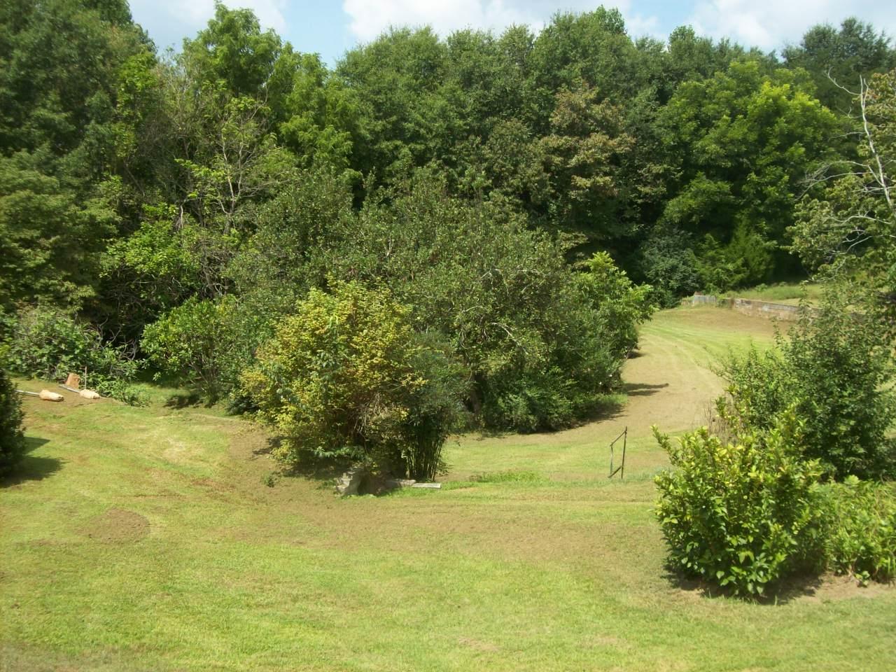 1716 Mize Rd, Toccoa, GA 30577 photo 4