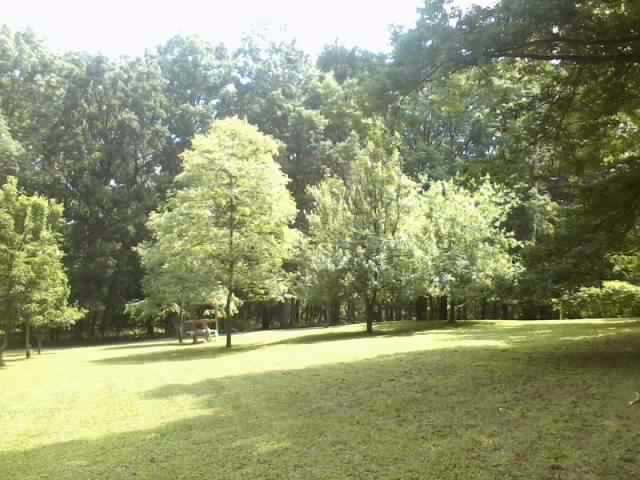 6424 Stone Bridge Rd, Carnesville, GA 30521 photo 2