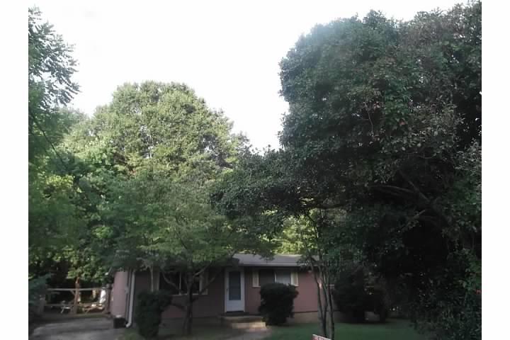 524 Landers St, Monroe, GA 30655 photo 5