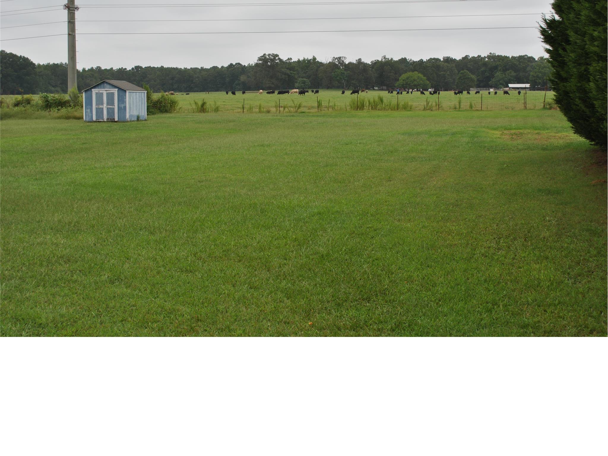 225 Ashton Dr, Covington, GA 30016 photo 14