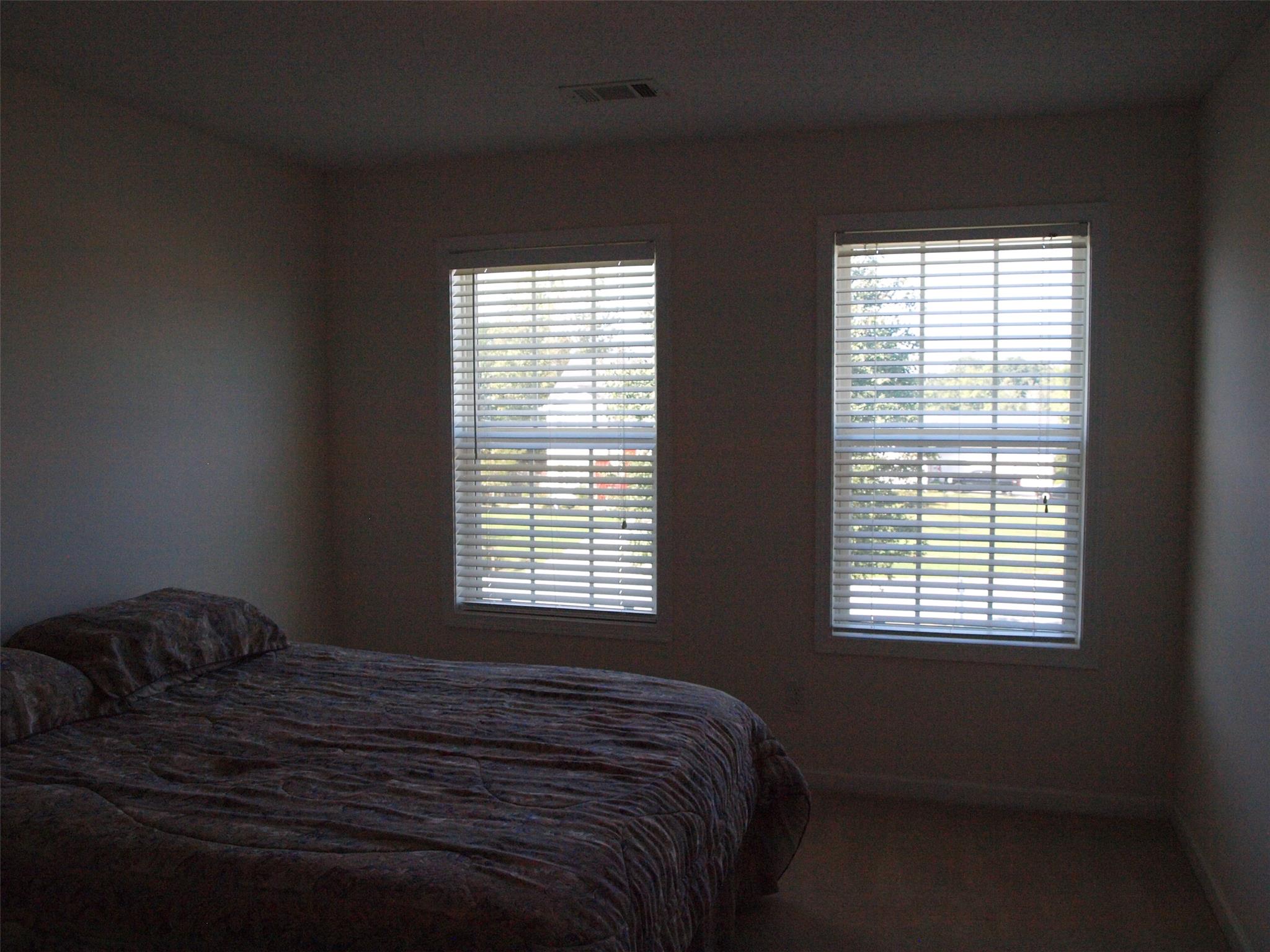 163 Celestial Run, Winder, GA 30680 photo 11