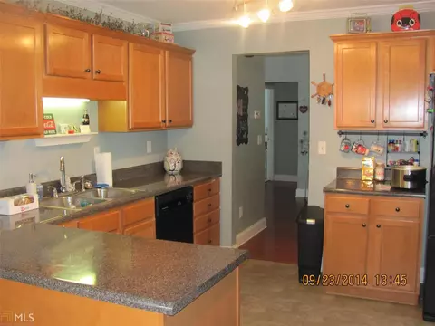 146 Garrison Ct, Temple, GA 30179 photo 16