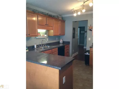 146 Garrison Ct, Temple, GA 30179 photo 10