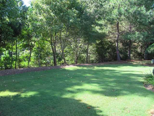 3063 Orchard Ridge Cir, Duluth, GA 30096 photo 5
