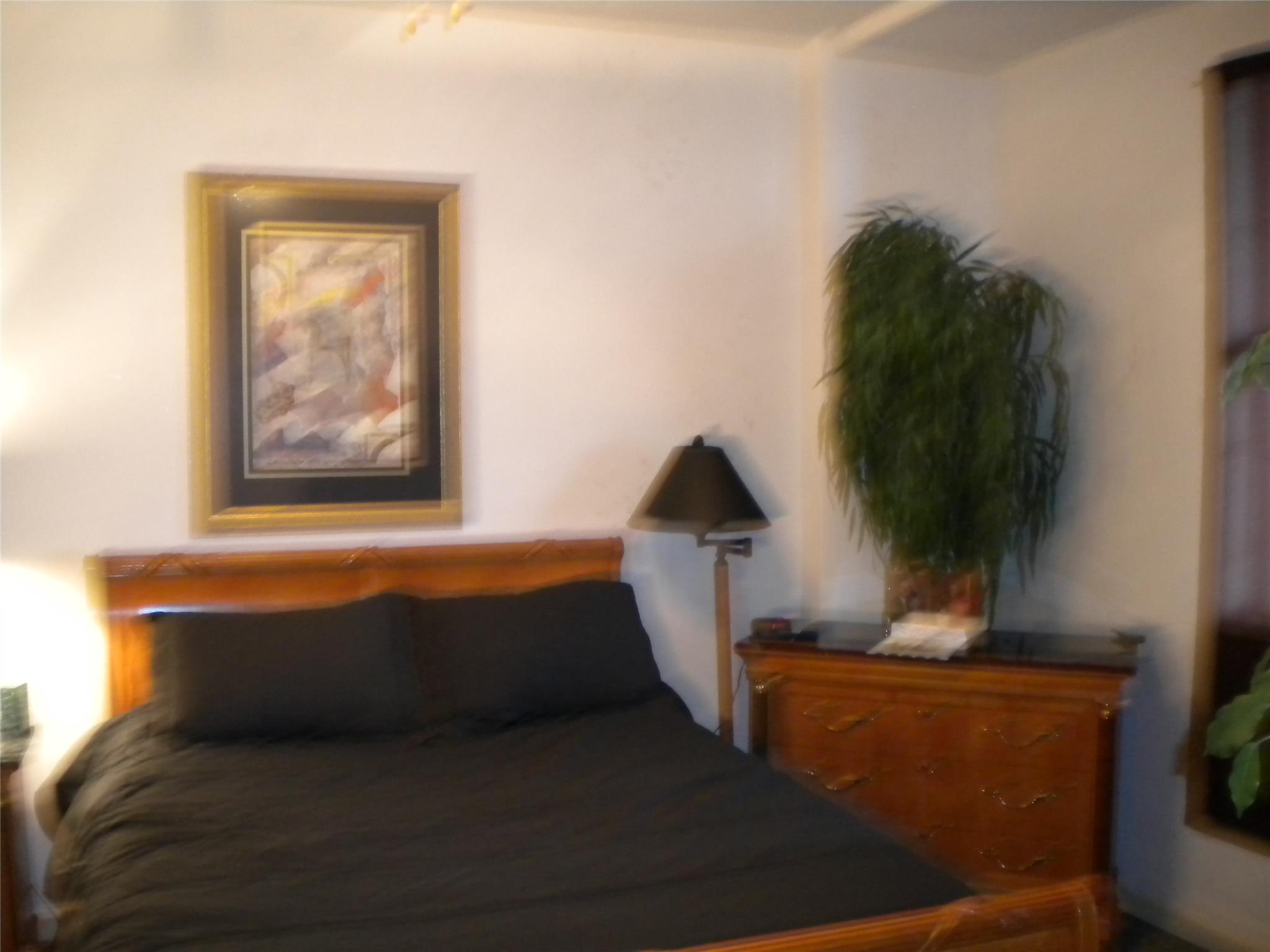 1500 Tara Pl #701, Hampton, GA 30228 photo 3