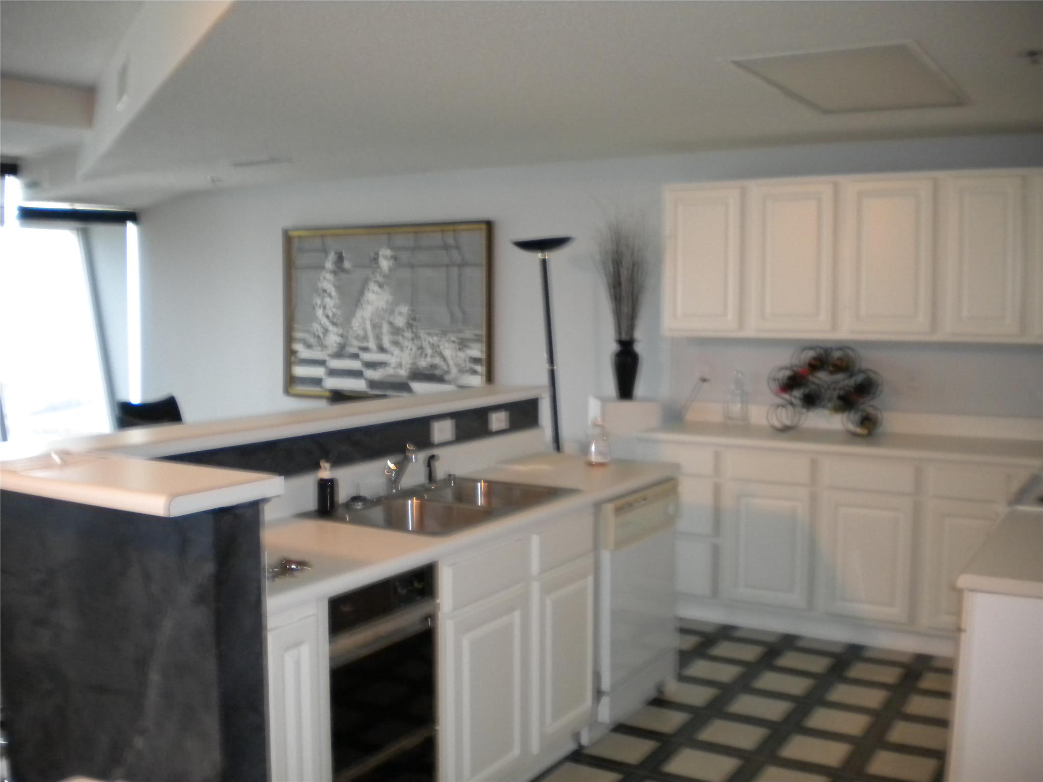 1500 Tara Pl #701, Hampton, GA 30228 photo 4