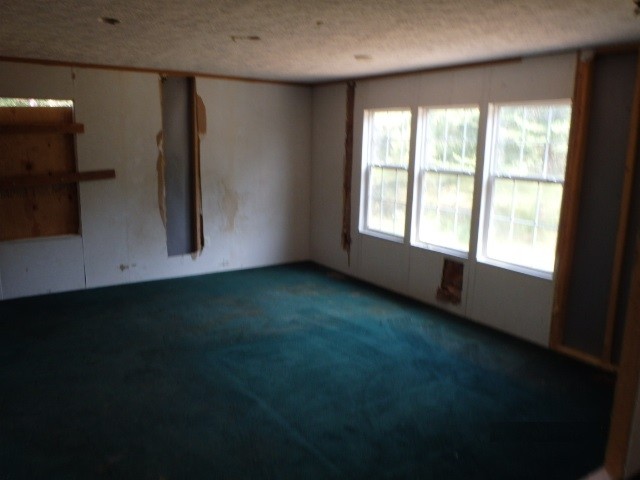 1100 Adamson Rd, Bowdon, GA 30108 photo 6