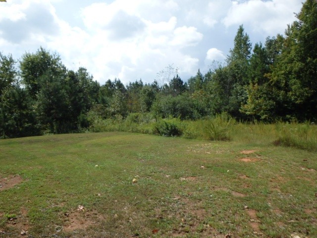 1100 Adamson Rd, Bowdon, GA 30108 photo 9