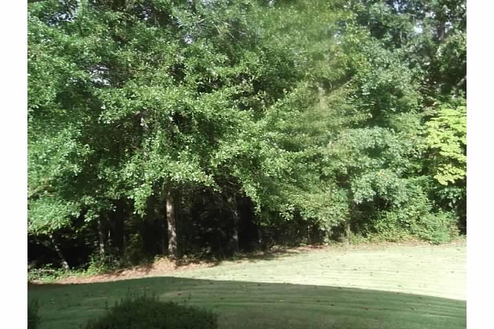 297 Cannonade Ct, Monroe, GA 30655 photo 24