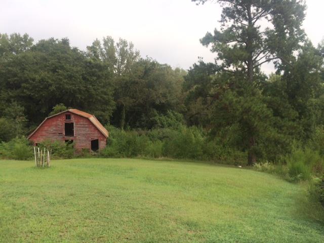 10242 County Rd 222, Five Points, AL 36855 photo 11