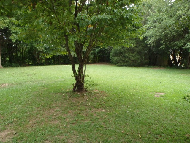4232 Daniel Dr, Winston, GA 30187 photo 10