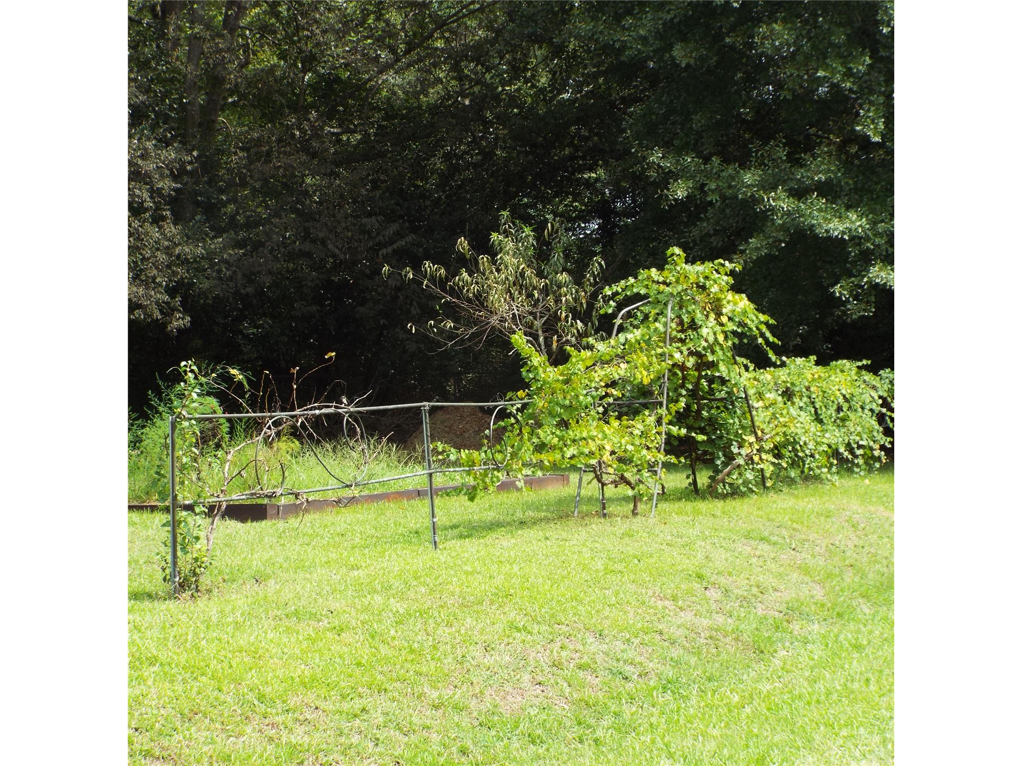 734 Windsor Rd, Macon, GA 31204 photo 14