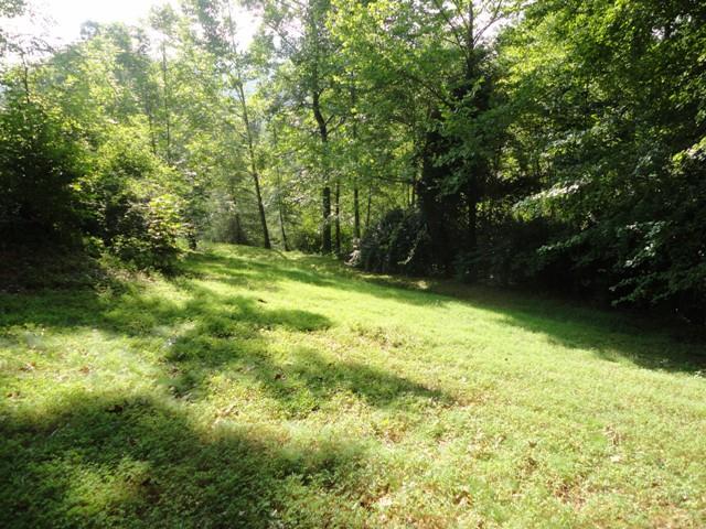 180 Low Gap Rd, Hayesville, NC 28904 photo 14
