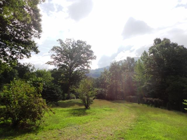 180 Low Gap Rd, Hayesville, NC 28904 photo 3