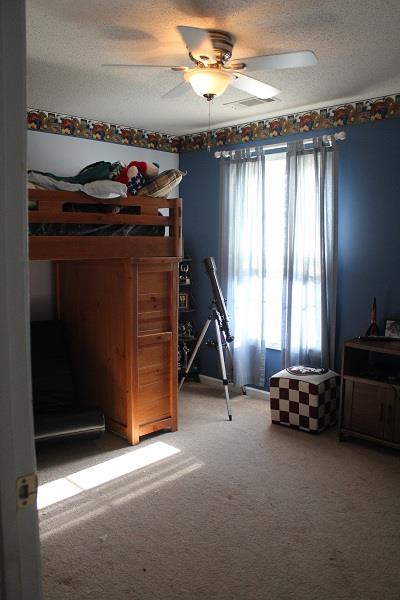 103 Dylan Way, Bremen, GA 30110 photo 12