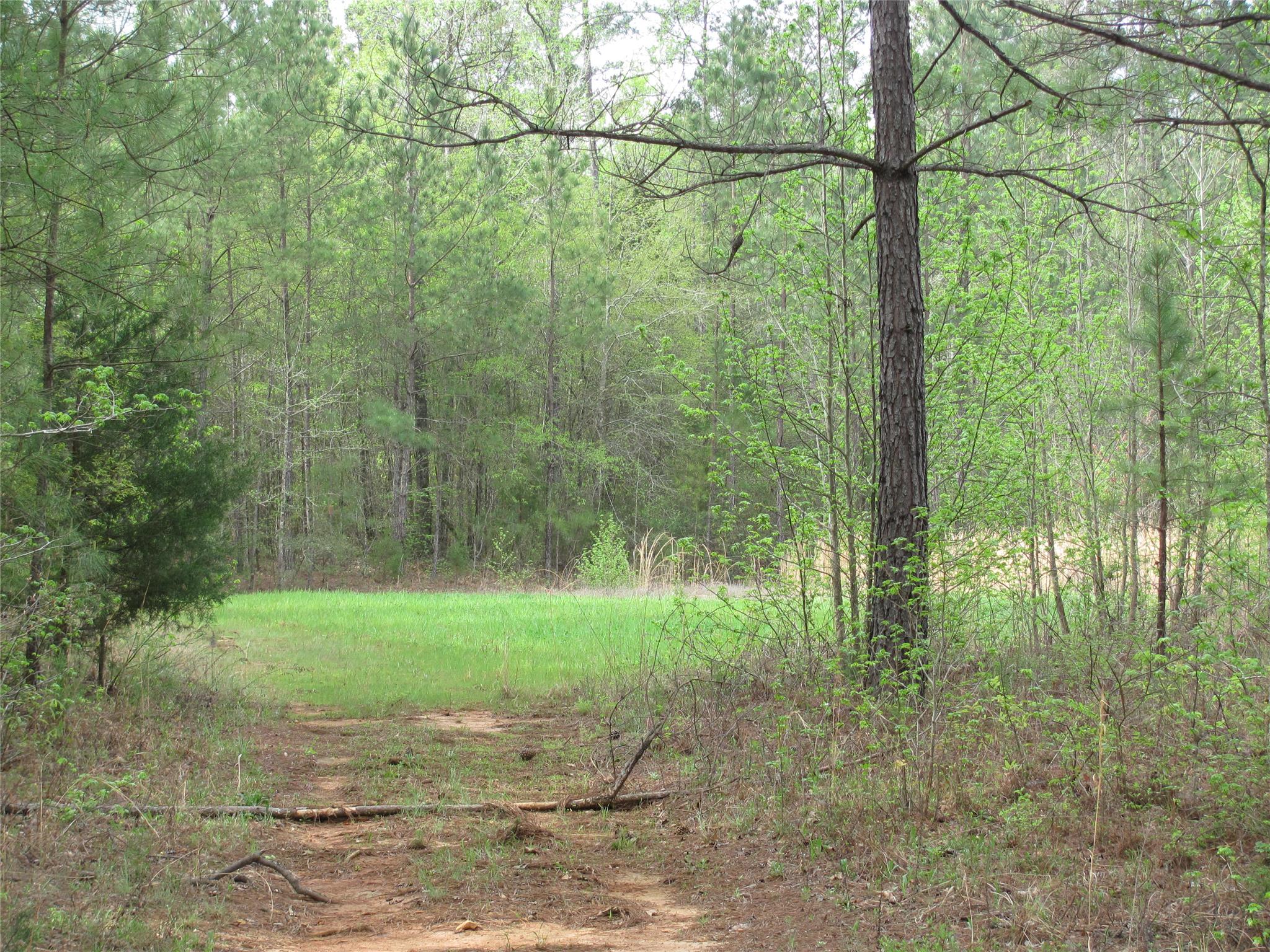 550 Treadwell Rd, Forsyth, GA 31029 photo 5