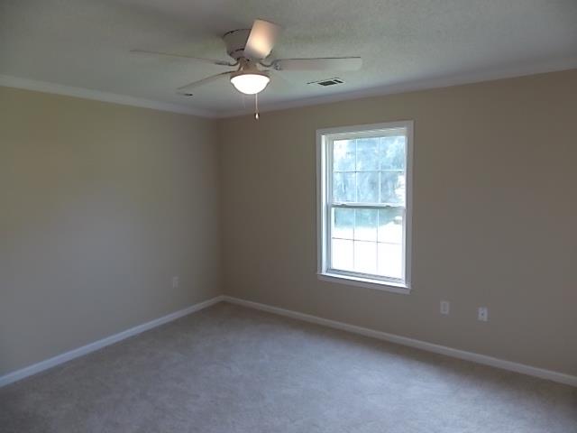 117 Old Stillwell Rd, Springfield, GA 31329 photo 15