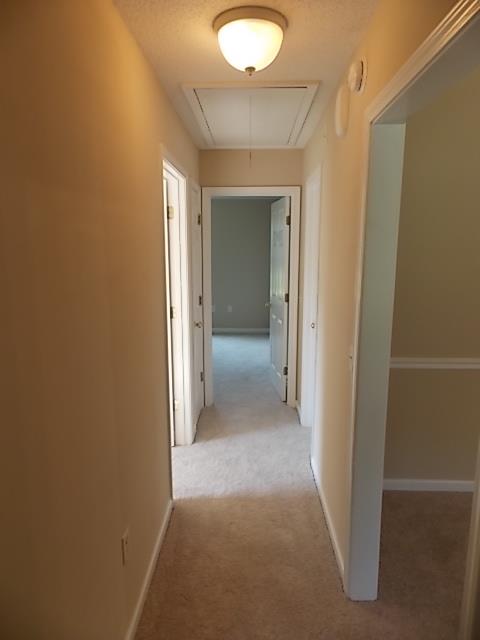 117 Old Stillwell Rd, Springfield, GA 31329 photo 11