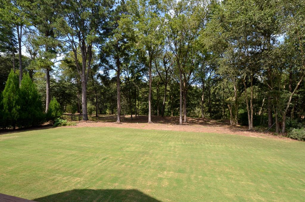 1433 Riverview Run Ln, Suwanee, GA 30024 photo 25