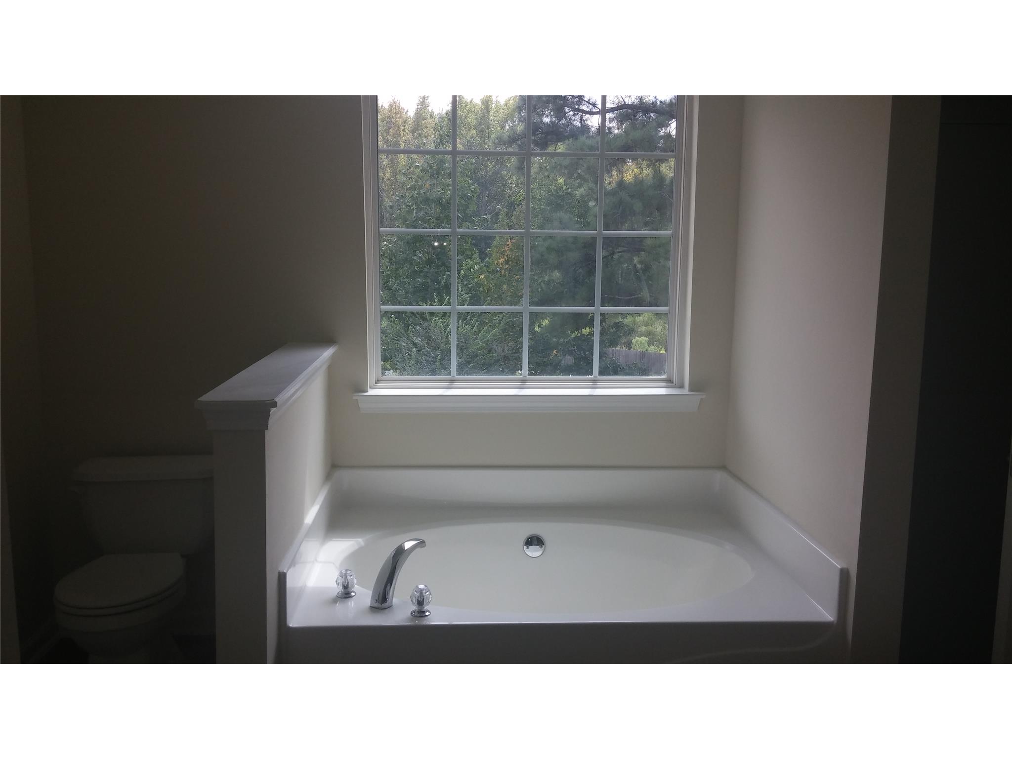 1299 Candler Ct, Morrow, GA 30260 photo 18