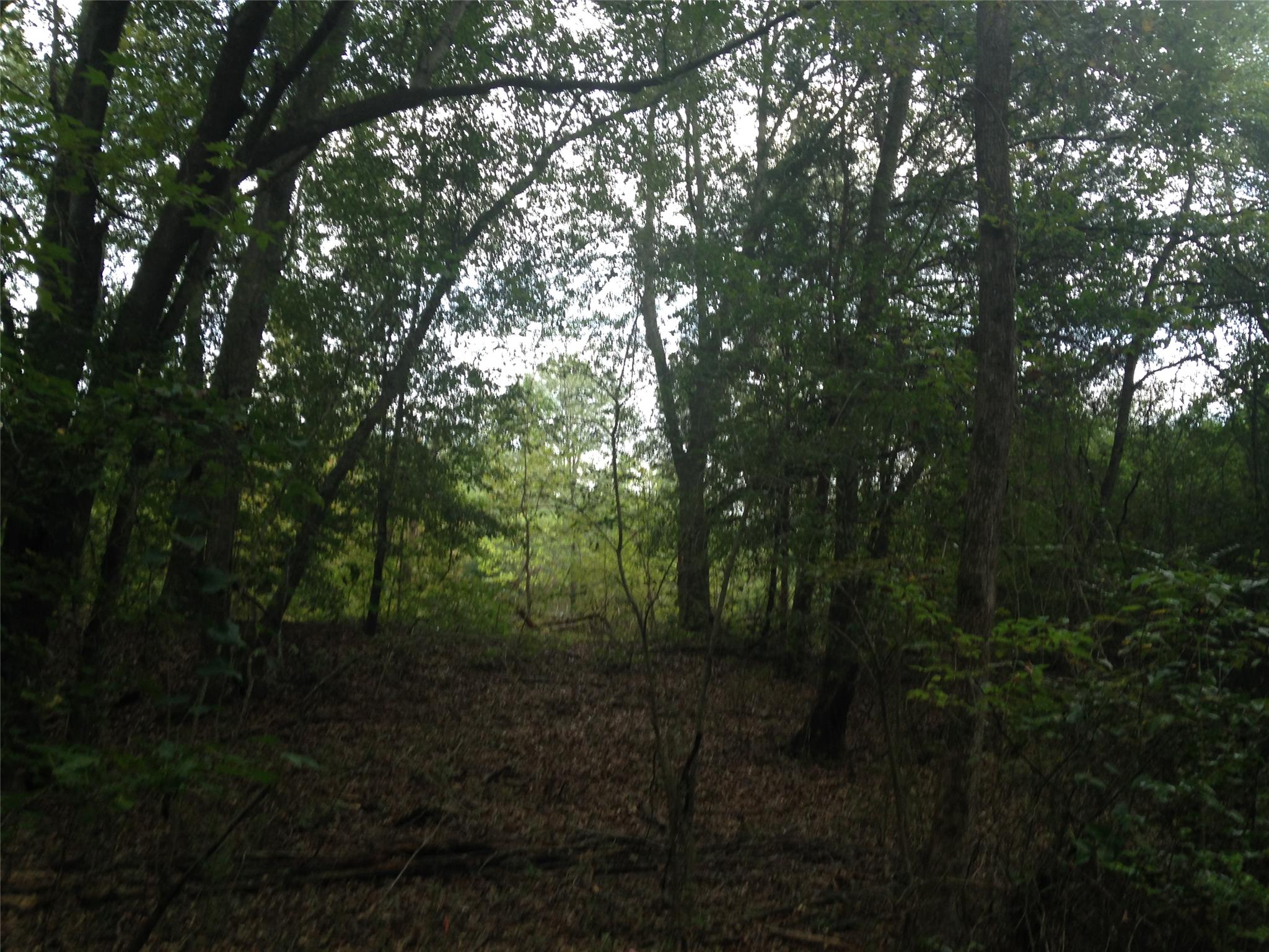 4259 Gauntt Rd, Covington, GA 30014 photo 1