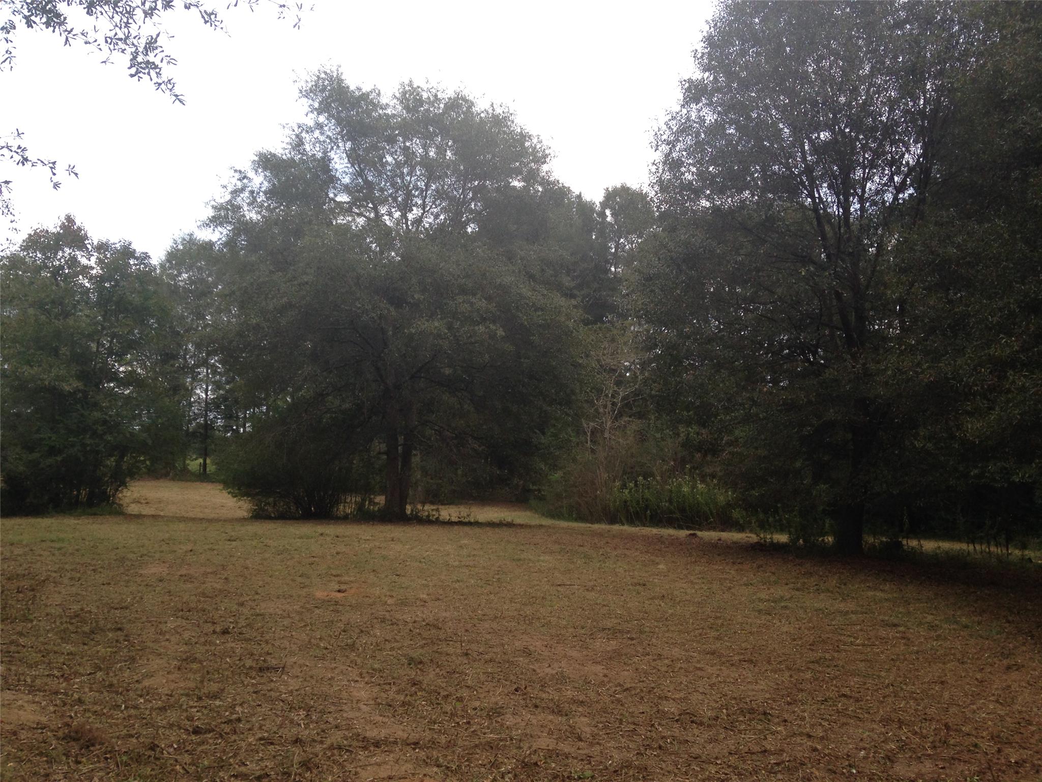4259 Gauntt Rd, Covington, GA 30014 photo 2