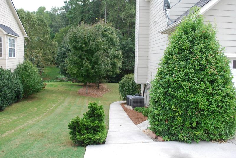2935 Belshire Trl, Dacula, GA 30019 photo 2