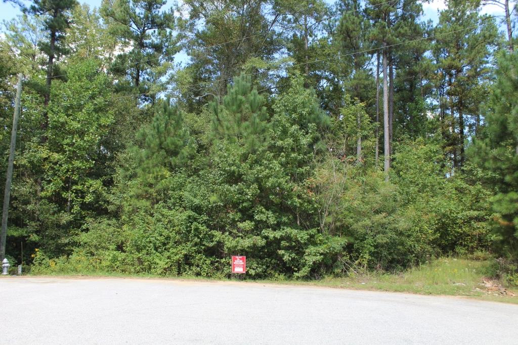 175 Haddock Pt, Brooks, GA 30205 photo 2