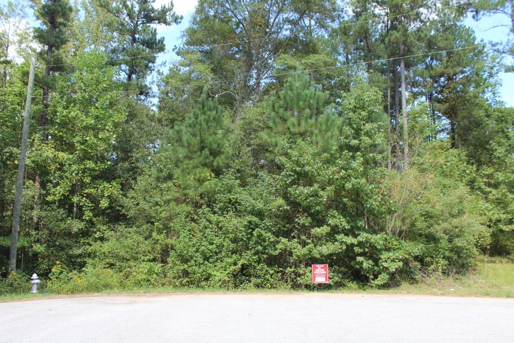 175 Haddock Pt, Brooks, GA 30205 photo 3