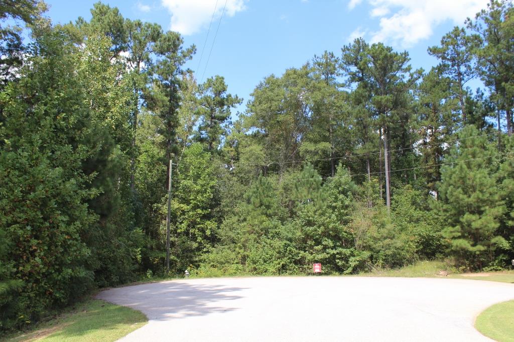 175 Haddock Pt, Brooks, GA 30205 photo 8