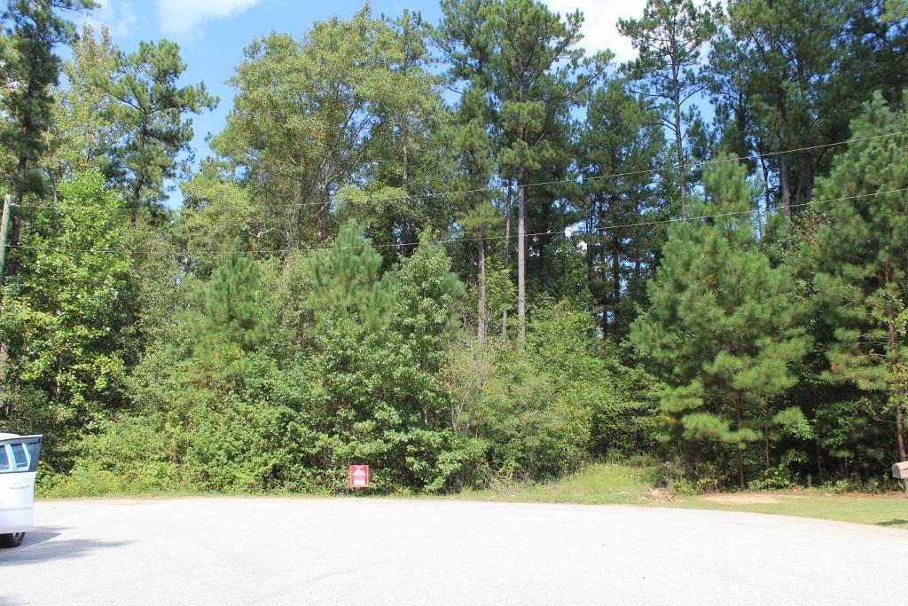 175 Haddock Pt, Brooks, GA 30205 photo 7