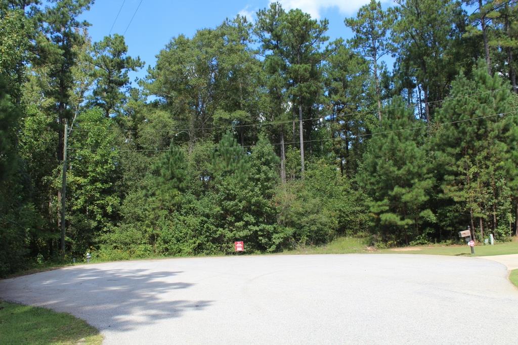 175 Haddock Pt, Brooks, GA 30205 photo 9