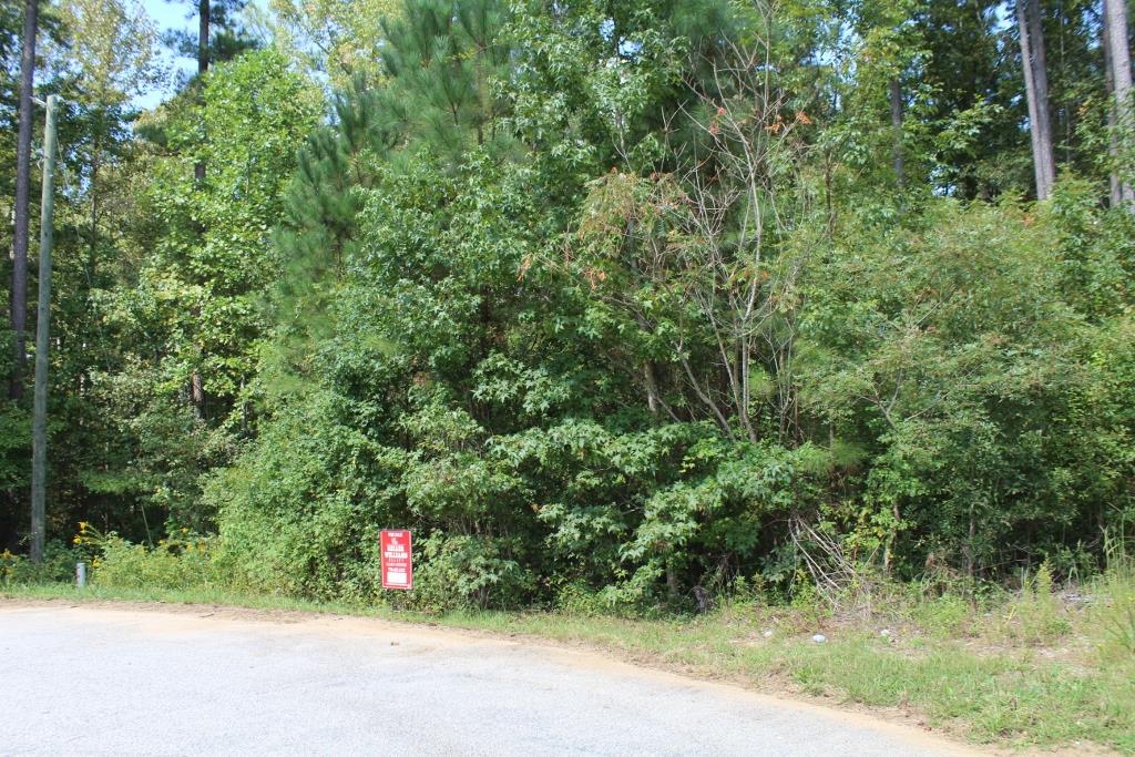175 Haddock Pt, Brooks, GA 30205 photo 6