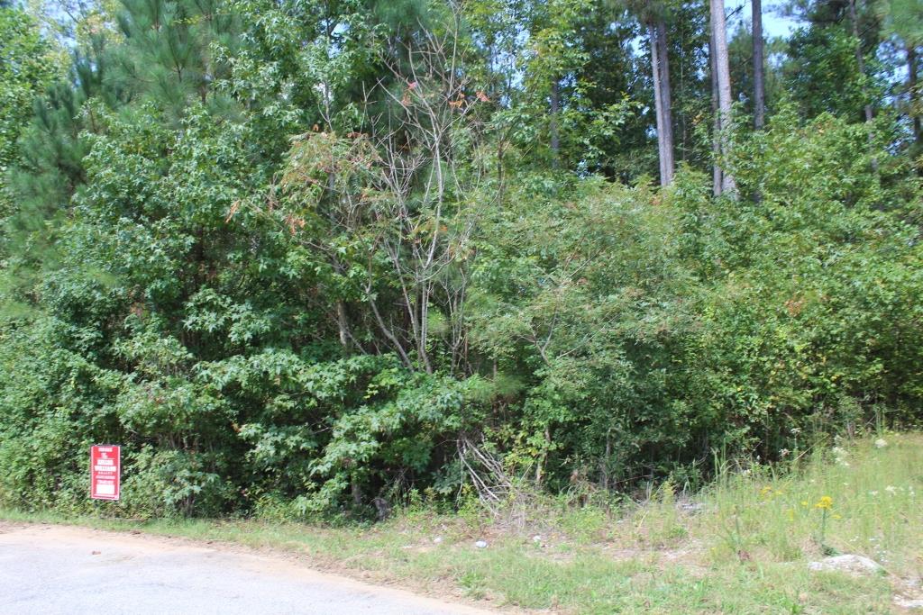 175 Haddock Pt, Brooks, GA 30205 photo 4