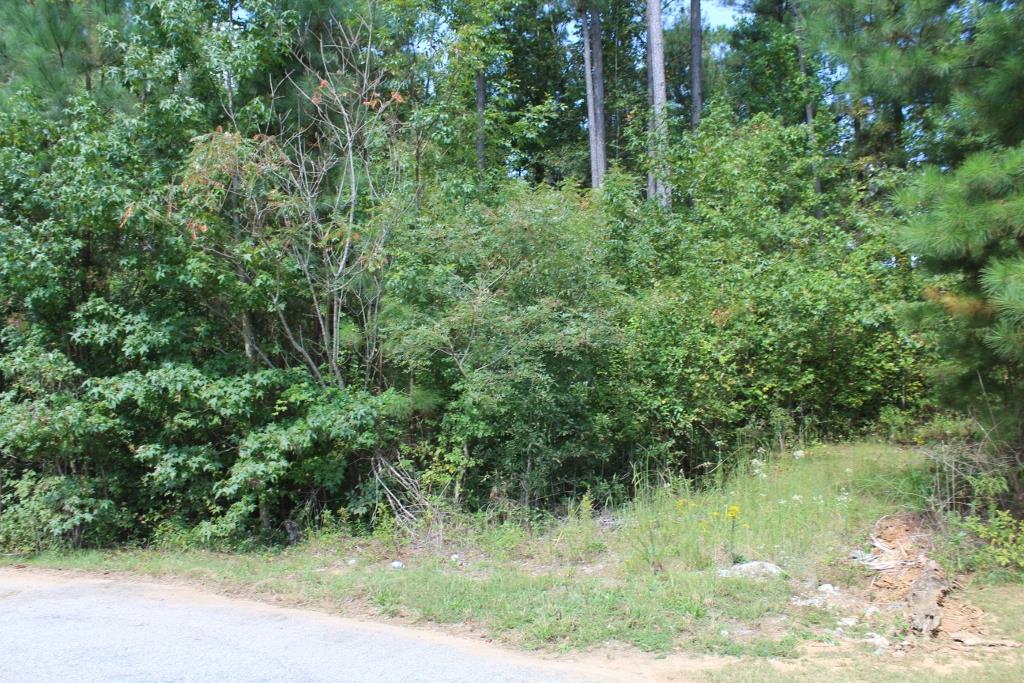 175 Haddock Pt, Brooks, GA 30205 photo 5
